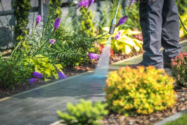 Best Winterizing Services  in Rancho Tehama Reserve, CA
